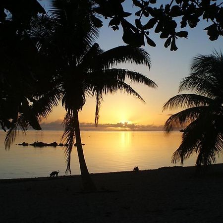 Tahiti - Taharuu Houses Surf & Beach 帕帕拉 外观 照片