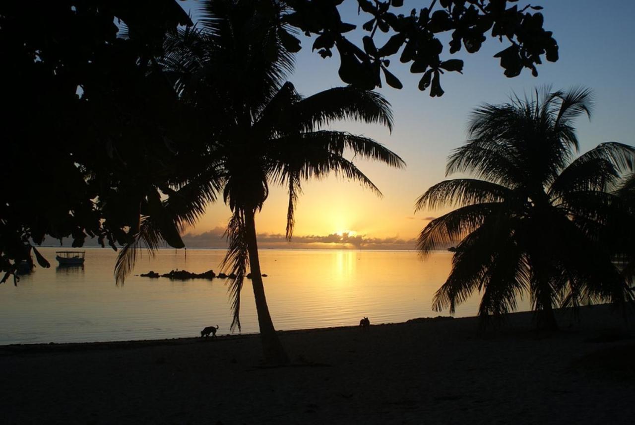 Tahiti - Taharuu Houses Surf & Beach 帕帕拉 外观 照片